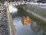 gt߂̉摜