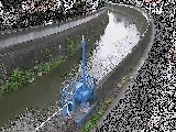 苴t߂̉摜