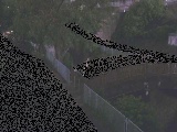 clt߂̉摜