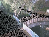 clt߂̉摜