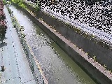 �������t�߂̉摜