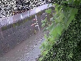 ht߂̉摜