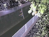 ht߂̉摜