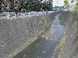 �V�O�֋��t�߂̉摜