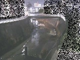鶴見川 岡上橋付近のカメラ画像