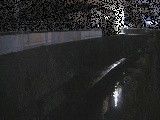 東野川付近のカメラ画像
