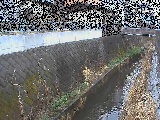 東野川付近のカメラ画像