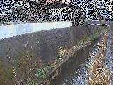 東野川付近のカメラ画像