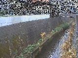 東野川付近のカメラ画像