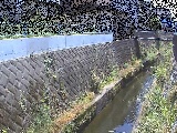 東野川付近のカメラ画像