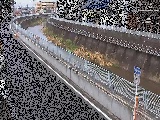 平瀬橋付近のカメラ画像