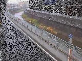平瀬橋付近のカメラ画像