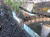 嶋田人道橋付近のカメラ画像