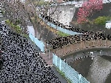 嶋田人道橋付近のカメラ画像