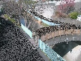 嶋田人道橋付近のカメラ画像