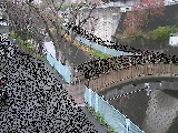 嶋田人道橋付近のカメラ画像