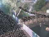 嶋田人道橋付近のカメラ画像