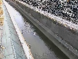 長尾橋付近のカメラ画像