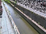 長尾橋付近のカメラ画像