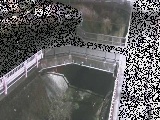 あゆみ橋付近のカメラ画像