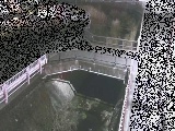 あゆみ橋付近のカメラ画像