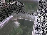 あゆみ橋付近のカメラ画像