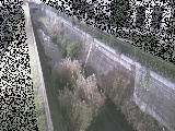 真光寺川 矢崎橋付近のカメラ画像