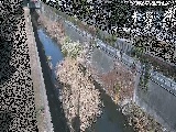 真光寺川 矢崎橋付近のカメラ画像