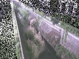 矢崎橋付近のカメラ画像