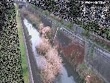 矢崎橋付近のカメラ画像
