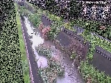 真光寺川 矢崎橋付近のカメラ画像