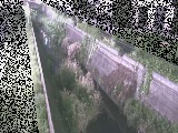 真光寺川 矢崎橋付近のカメラ画像