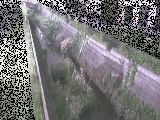 矢崎橋付近のカメラ画像