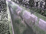 矢崎橋付近のカメラ画像