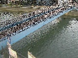 鷹取川人道橋付近のカメラ画像