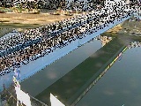 鷹取川人道橋付近のカメラ画像