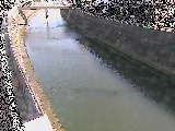根岸歩道橋付近のカメラ画像