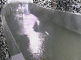 根岸歩道橋付近のカメラ画像