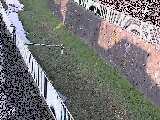 堰橋付近のカメラ画像