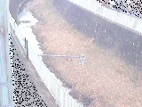 田越川 堰橋付近のカメラ画像