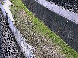 堰橋付近のカメラ画像