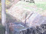 下山川 星山橋付近のカメラ画像
