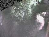下小路橋付近のカメラ画像