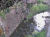 下小路橋付近のカメラ画像
