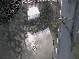 竹川 大橋付近のカメラ画像