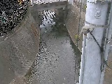 竹川 大橋付近のカメラ画像