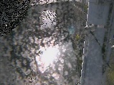 大橋付近のカメラ画像