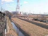 若宮橋付近のカメラ画像