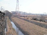 渋田川 若宮橋付近のカメラ画像