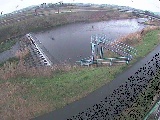 鈴川 舟橋付近のカメラ画像